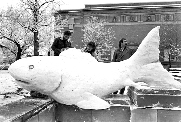 College students working on a giant snow sculpture of a fish in a parking lot