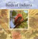 Brock's Birds of Indiana Logo Image